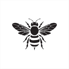 vector illustration of a bee