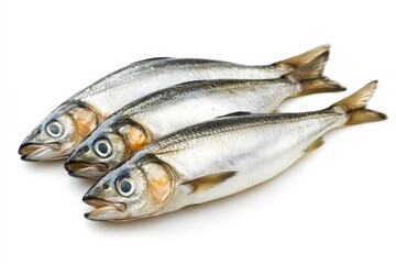 Fototapeta premium Three fresh fish are arranged on a clean white surface