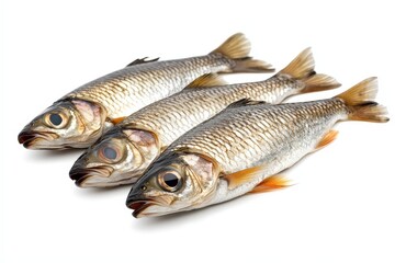 Fototapeta premium Three Fish Lying Sideways on a Bright White Background