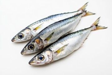 Three raw silver fishes arranged on a clean white surface