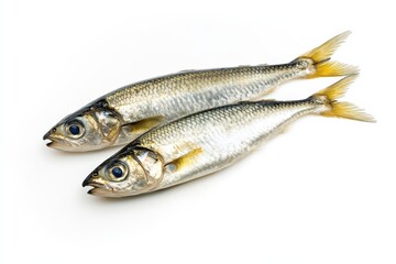 Fototapeta premium Two fresh silvery fish displayed on a plain white background