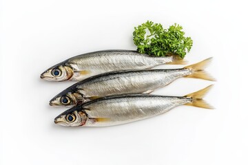 Fototapeta premium Freshly prepared fish arranged beautifully with parsley for display