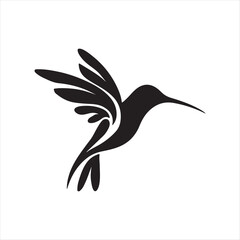 hummingbird vector illustration