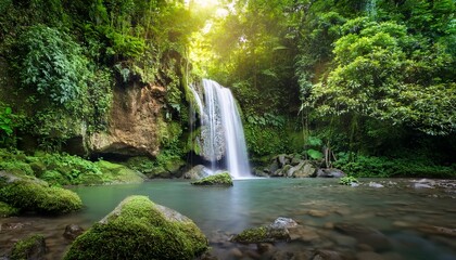 Obraz premium serene waterfall in lush green jungle