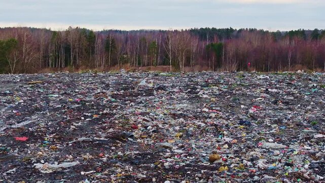 Forward motion reveals scale of environmental damage, forest-side landfill zone