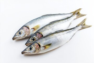 Fototapeta premium Close up view of fresh fish arranged on white background