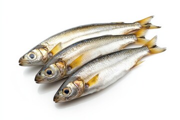 Obraz premium Several fresh fish arranged on a clean white surface