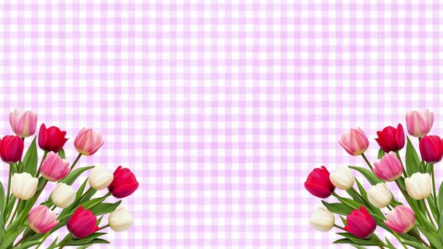 揺れるピンクや赤のチューリップと紫のチェック柄のフレーム、チューリップの花束と紫のチェック柄の背景