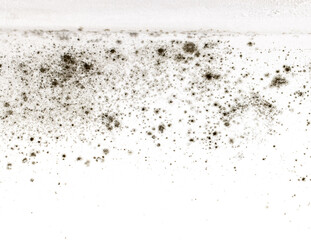 A white background with a lot of black spots