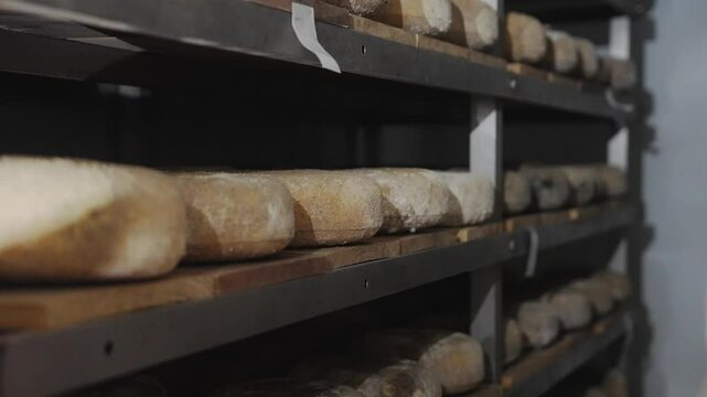 A row of bread loaves are stacked on shelves in a bakery. The bread is brown and he is freshly baked