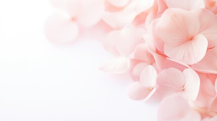 Delicate pink flower petals falling gracefully nature's serenity close-up soft light tranquil beauty