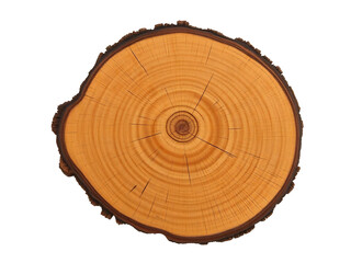 Obraz premium Warm light illuminates a detailed tree cross section showing concentric rings. AI Generated