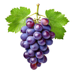Fototapeta premium Juicy Grapes with Lush Green Leaves, Perfect for Fresh Produce Packaging Design