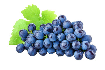 blue grapes with green leaf - isolated on white background