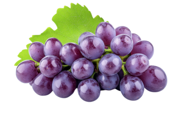 red grapes with leaf - isolated on black