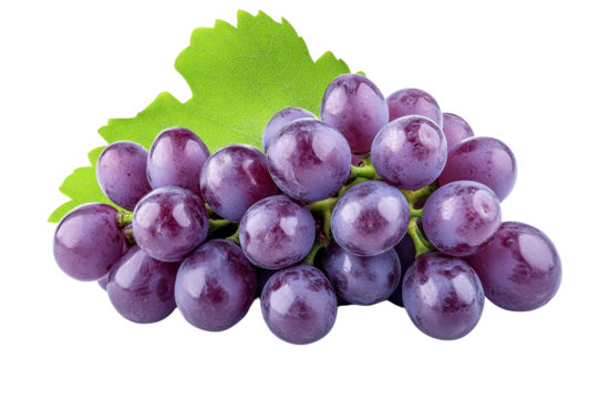 red grapes with leaf - isolated on black