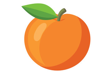 Flat Orange Fruit with Green Leaf and Stem on White Background