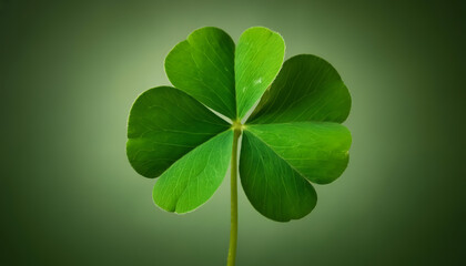 Green four-leaf clover on a green background.