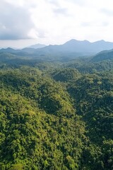 Drone shot of a rainforest with steep hills and deep valleys