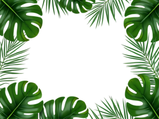 A decorative tropical frame made of lush green Monstera leaves, elegantly arranged around the edges, with a blank space in the center for text or design. High detail, realistic lighting, fresh and vib