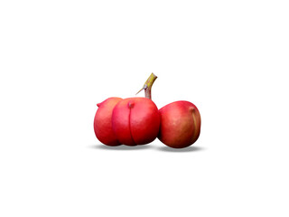 sterculia foetida or wild almond ripe fruits isolated on white background