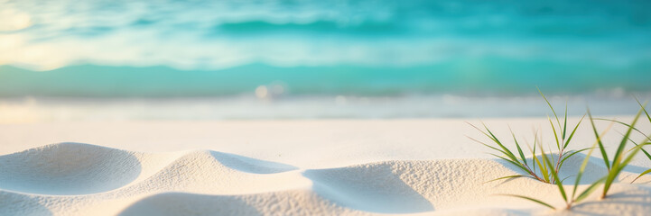 A pristine beach with soft white sand and gentle turquoise waves, accented by small green plants.
