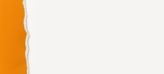 Obraz premium Horizontal banner of Torn Orange Paper Edge Over White Background