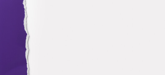 Horizontal banner. Purple Torn Paper with Rough Edge on White Background