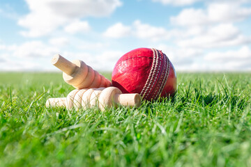 Cricket ball and bails on green grass of cricket pitch background