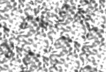 leopard skin texture, Abstract grunge concrete wall distressed texture background, Isolated on transparent background, PNG	
