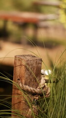 The image shows a wooden post with a rope tied around it. There are blades of grass growing around the post. The background is blurred, giving it a natural, rustic look.
