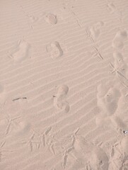 Footprints on the beach