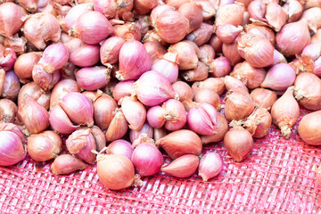 Pearl onion, small onion or onion in full frame shot