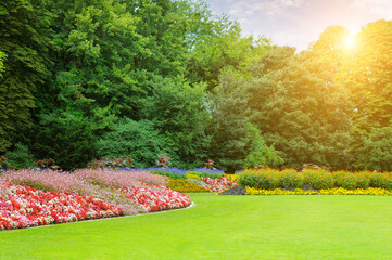garden with a Beautiful flowerbed, green meadow and bright sunrise .