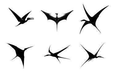 vector silhouette of a bird