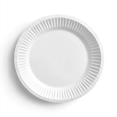 Empty disposable paper plate (2)