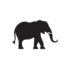 Fototapeta premium Vector illustration of an elephant walking in a white background