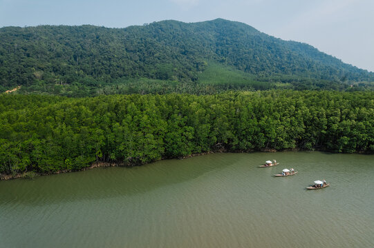 Many ancient wooden boats with rowers are traveling on the river and green forest.Nature boating, nature tourism