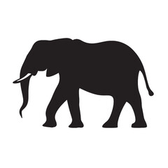 Fototapeta premium A large elephant silhouette walks, a wild mammal isolated on white