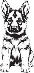 German Shepherd puppy. Hand drawn vector illustration