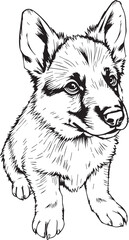 German Shepherd puppy. Hand drawn vector illustration