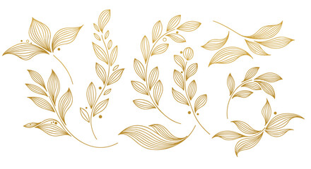 Elegant gold leaf illustrations on white.