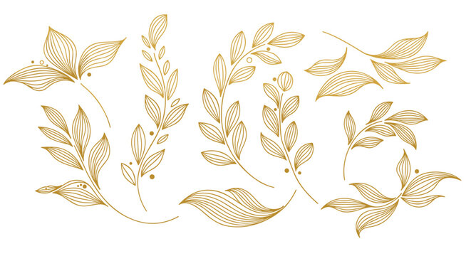 Elegant gold leaf illustrations on white.