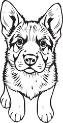 German Shepherd puppy. Hand drawn vector illustration