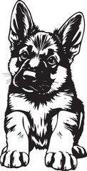 German Shepherd puppy. Hand drawn vector illustration