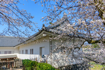 山形城　桜満開
