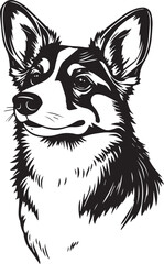Corgi puppy. Hand drawn vector illustration