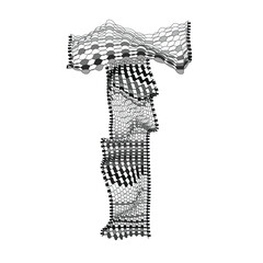 The woven alphabets - Letter T