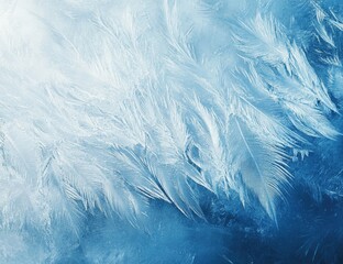 Frozen Bird Feathers