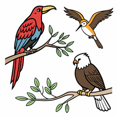 Fototapeta premium Abstract Bird Vector Images